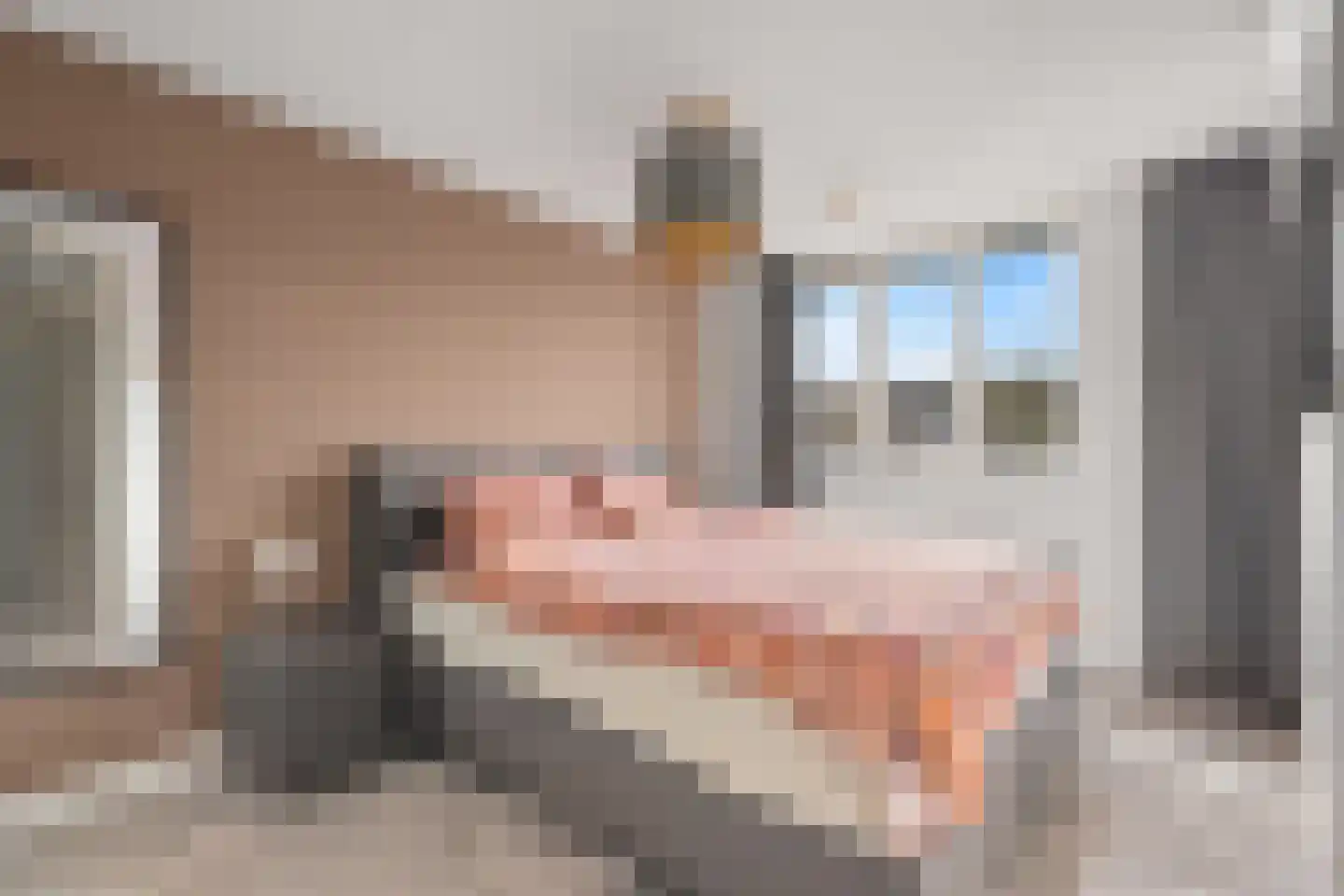 Hollandsspoor 8 Houten thumbnail 28