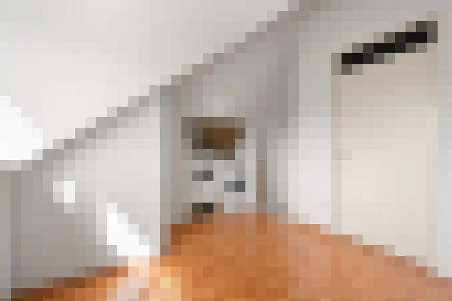 Hollandsspoor 8 Houten thumbnail 34