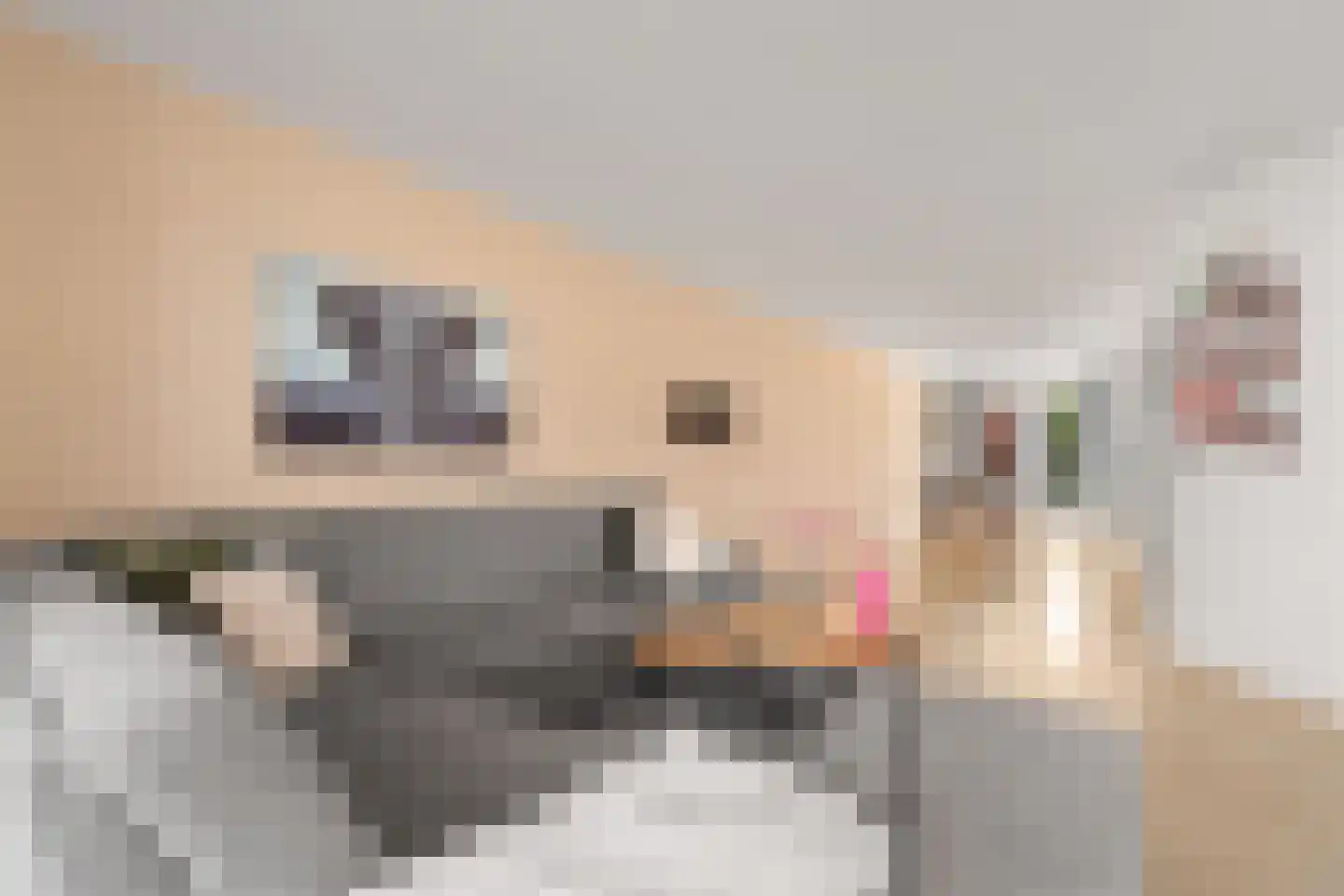 Hollandsspoor 8 Houten thumbnail 8
