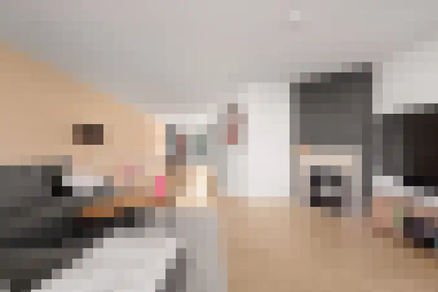 Hollandsspoor 8 Houten thumbnail 9