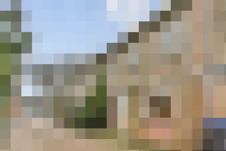 Hollandstraat 11 Loenersloot thumbnail 23