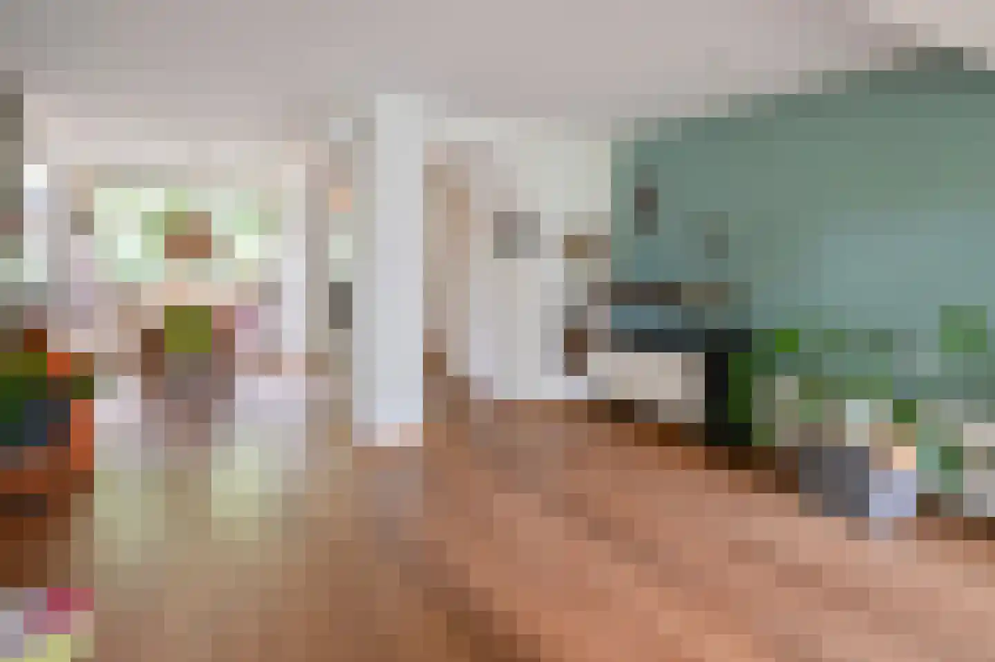 Hollandstraat 9 Loenersloot thumbnail 10