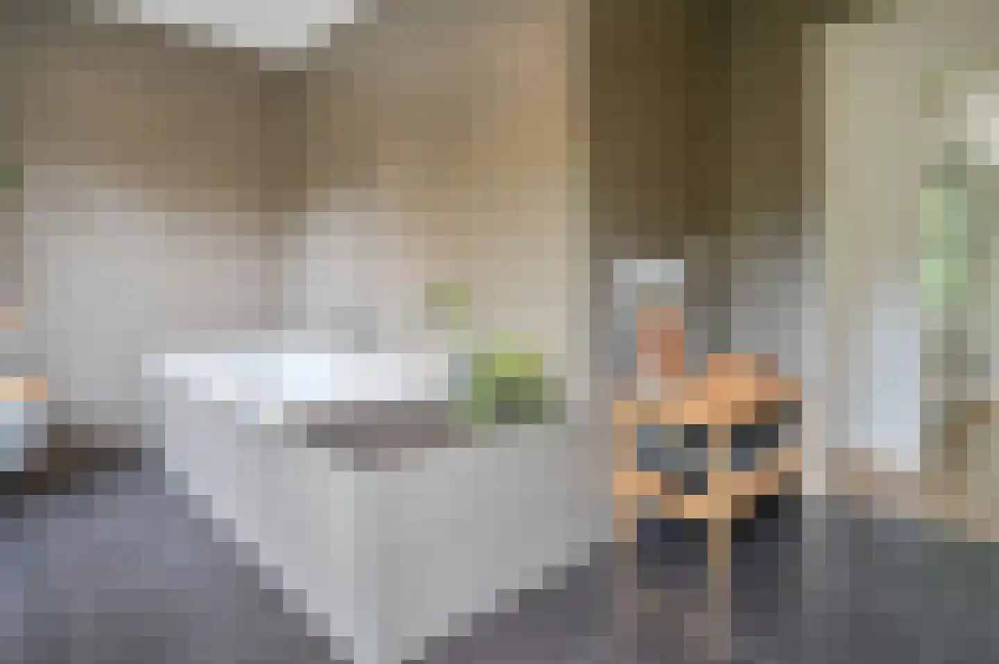 Hollandstraat 9 Loenersloot thumbnail 17