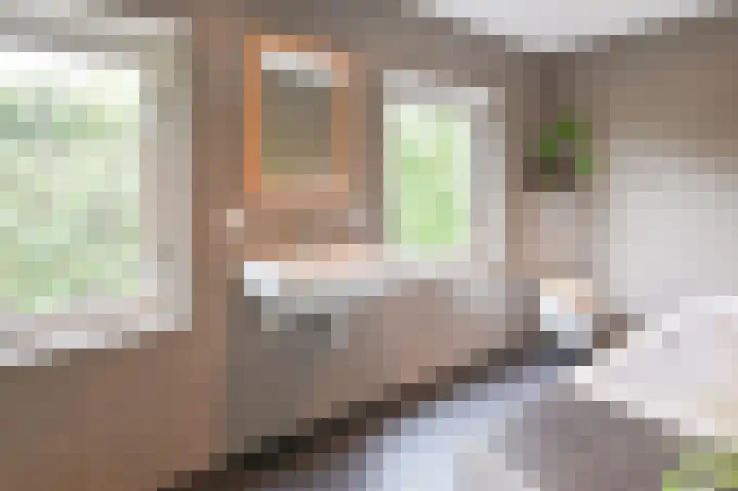 Hollandstraat 9 Loenersloot thumbnail 18