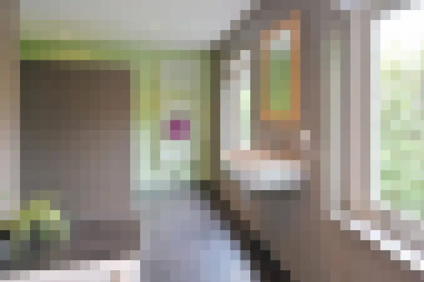 Hollandstraat 9 Loenersloot thumbnail 19