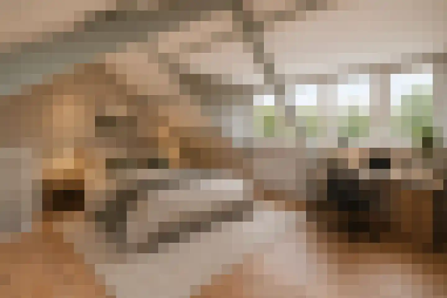 Hollandstraat 9 Loenersloot thumbnail 24