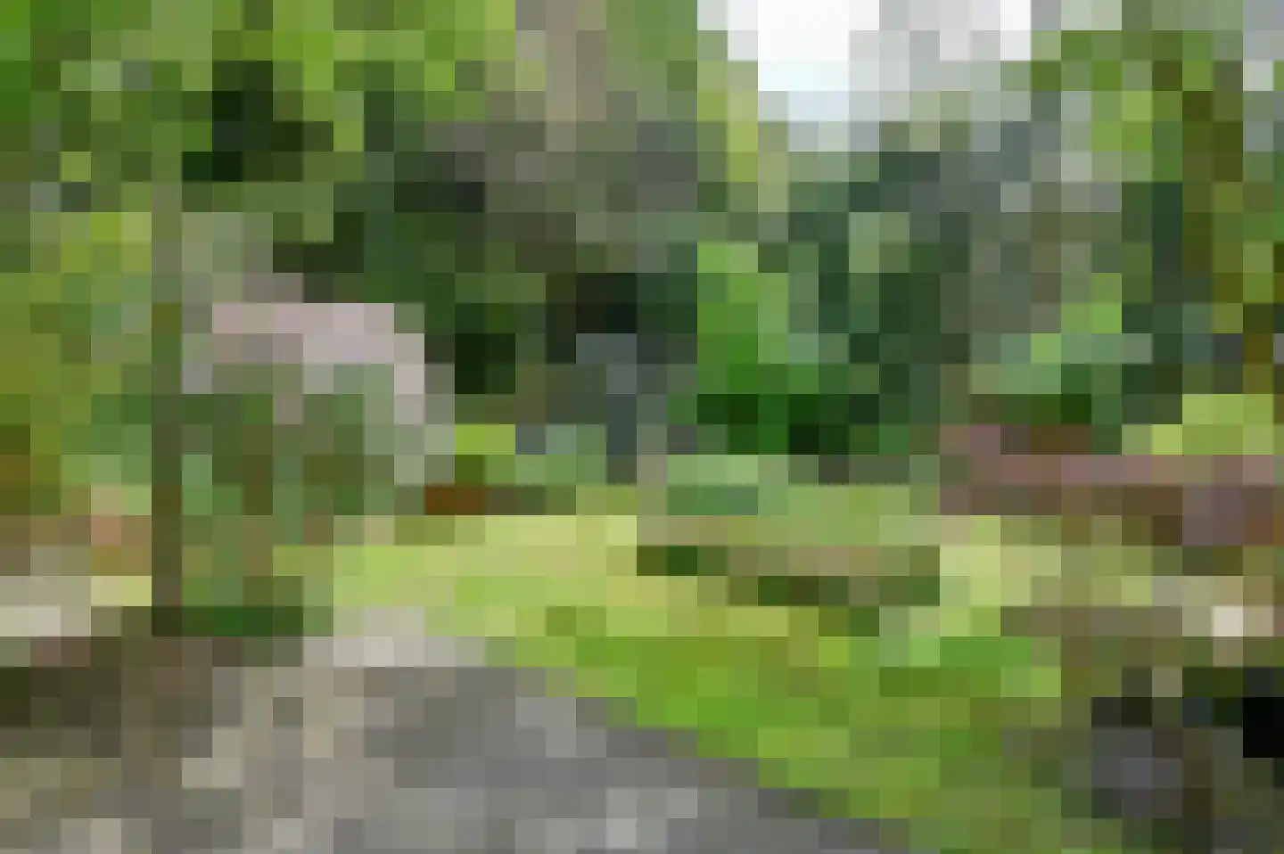 Hollandstraat 9 Loenersloot thumbnail 26