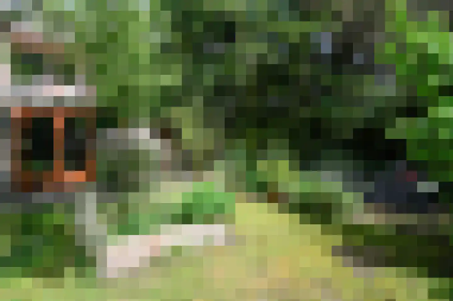 Hollandstraat 9 Loenersloot thumbnail 27
