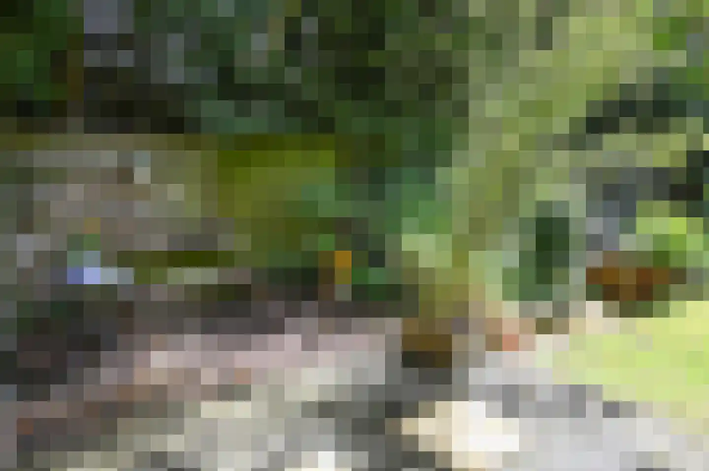Hollandstraat 9 Loenersloot thumbnail 29