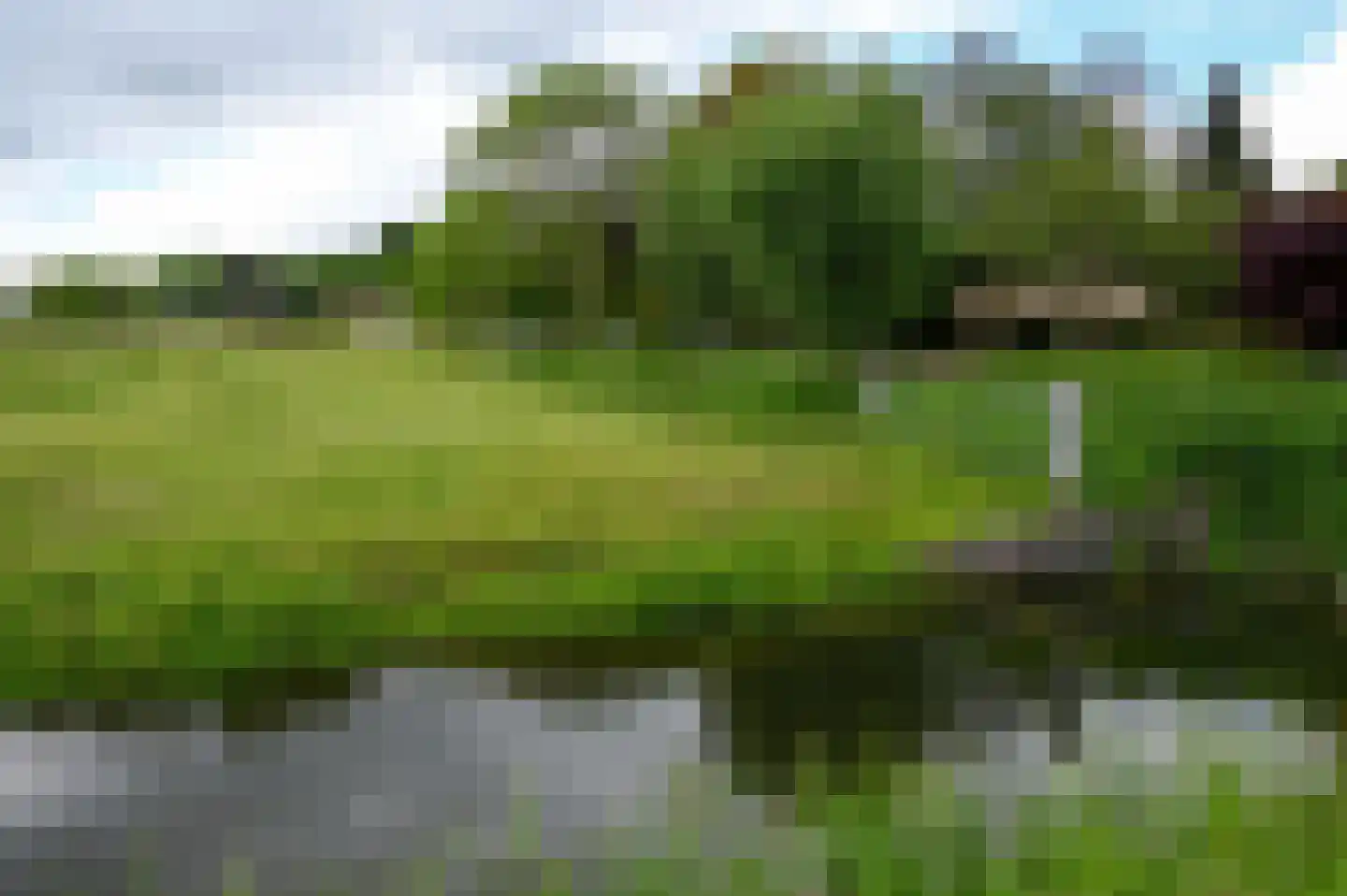 Hollandstraat 9 Loenersloot thumbnail 30