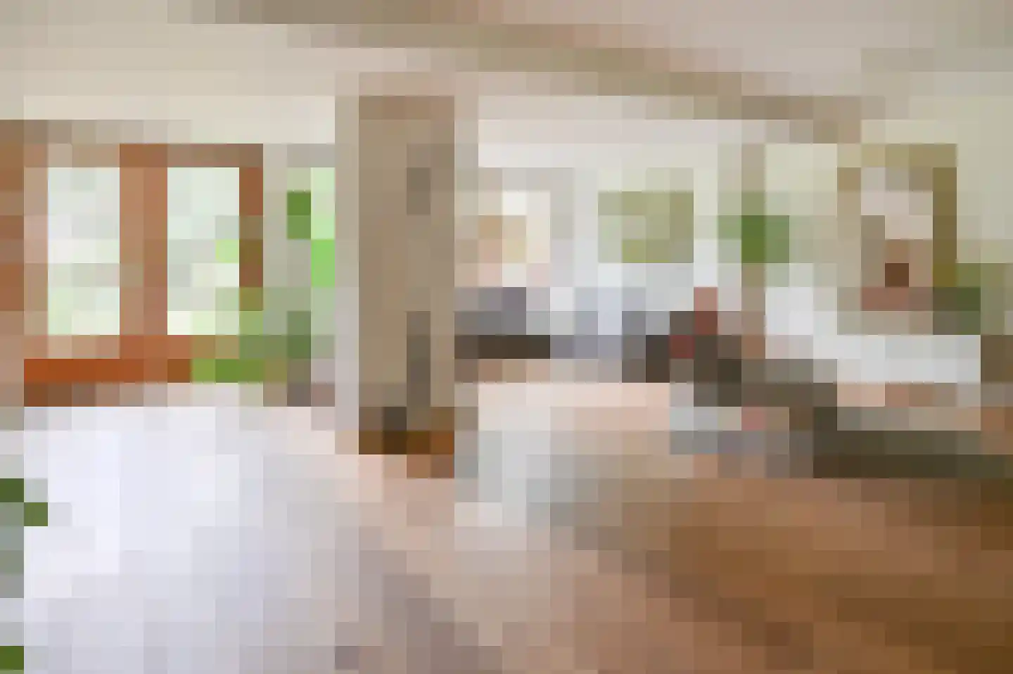 Hollandstraat 9 Loenersloot thumbnail 5