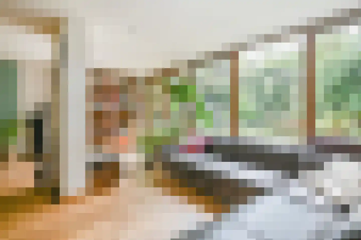 Hollandstraat 9 Loenersloot thumbnail 7