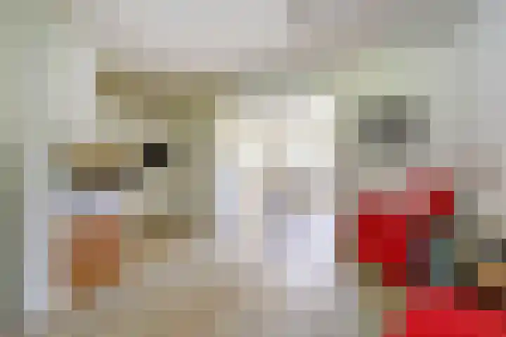 Hollasstraat 25 Baarlo thumbnail 11
