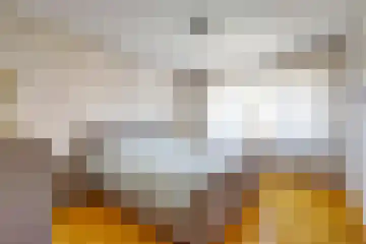Hollasstraat 25 Baarlo thumbnail 21