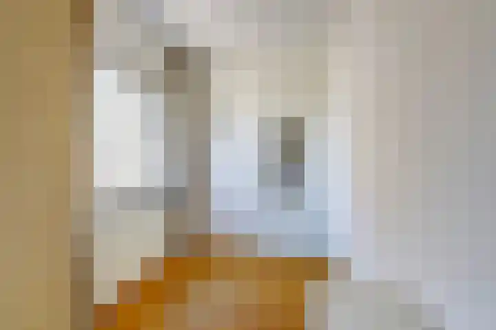 Hollasstraat 25 Baarlo thumbnail 24