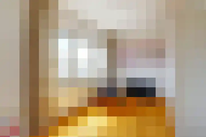 Hollasstraat 25 Baarlo thumbnail 25
