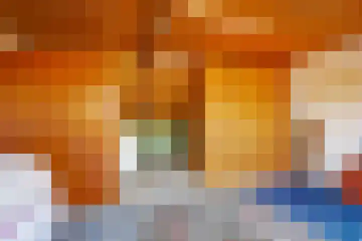 Hollasstraat 25 Baarlo thumbnail 31