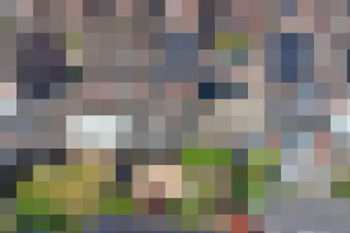 Hollasstraat 25 Baarlo thumbnail 36