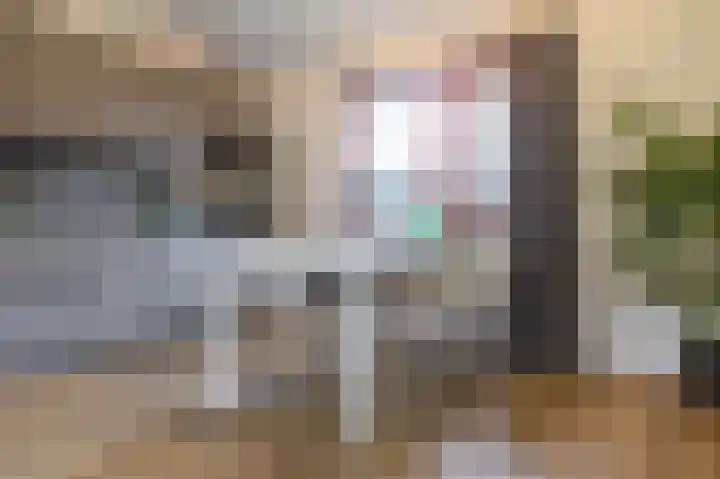 Holle Drift 77 Schipborg thumbnail 12