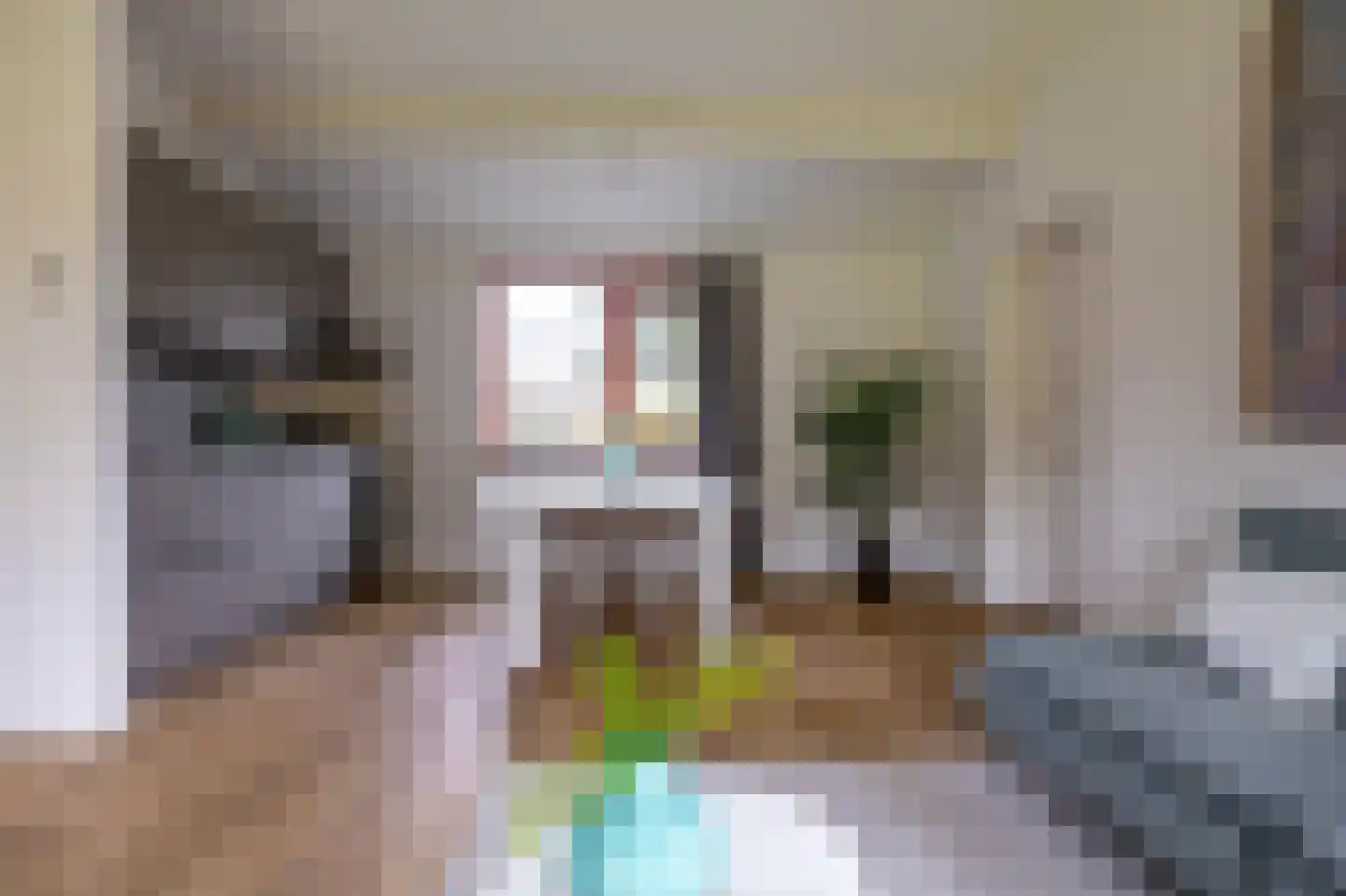 Holle Drift 77 Schipborg thumbnail 14