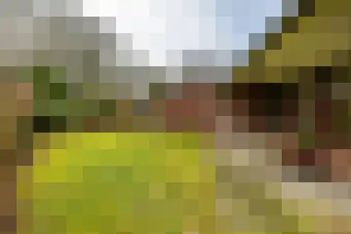 Holle Drift 77 Schipborg thumbnail 32