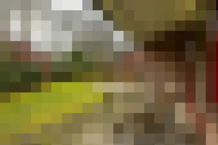 Holle Drift 77 Schipborg thumbnail 33
