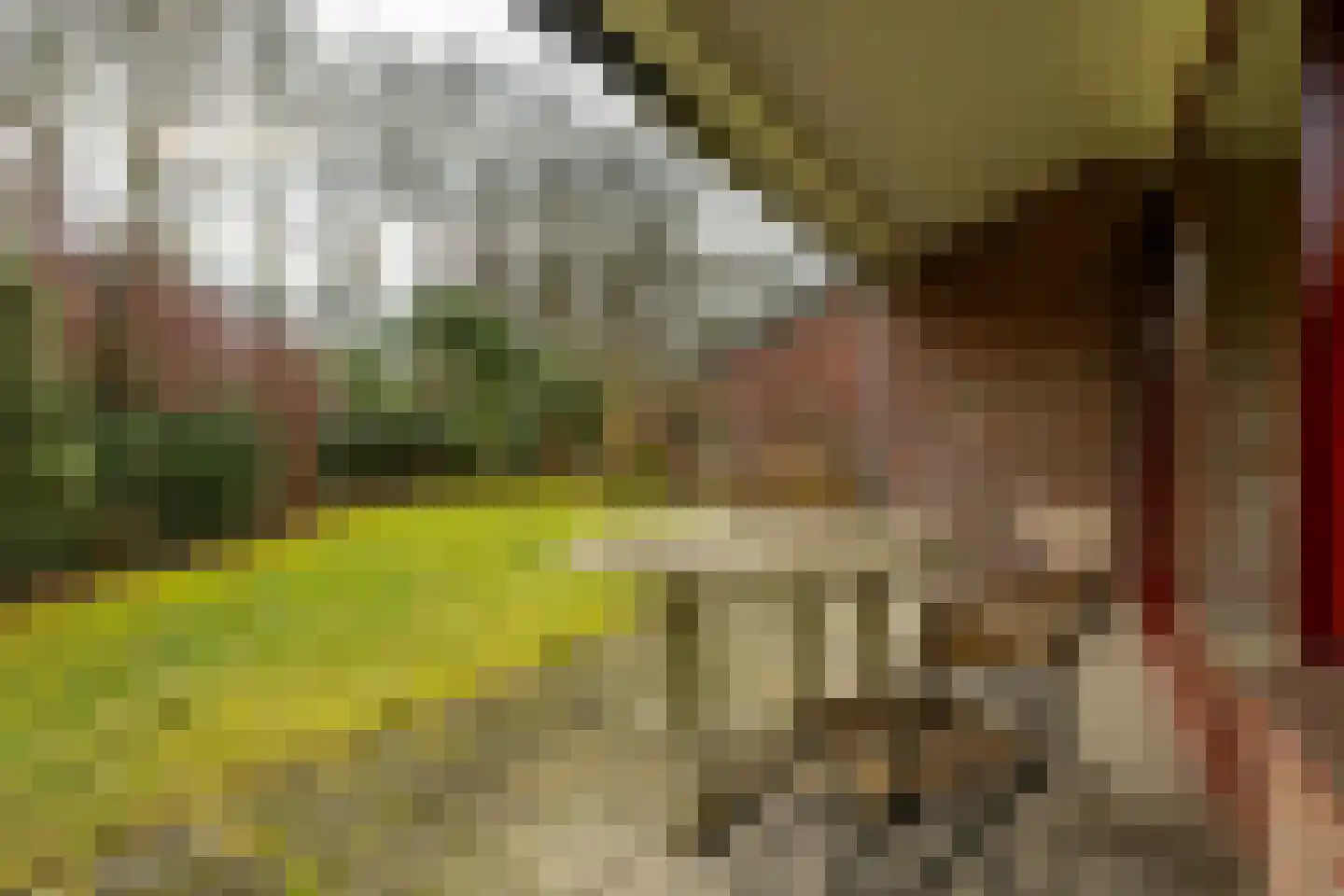 Holle Drift 77 Schipborg thumbnail 33