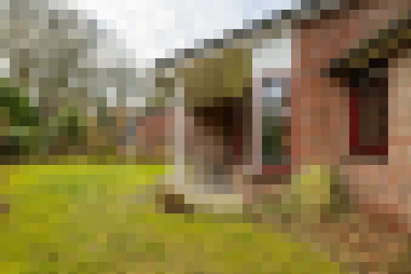 Holle Drift 77 Schipborg thumbnail 34