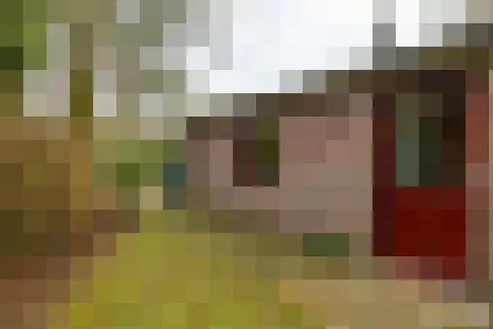 Holle Drift 77 Schipborg thumbnail 36