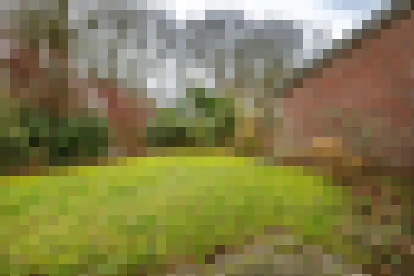 Holle Drift 77 Schipborg thumbnail 37
