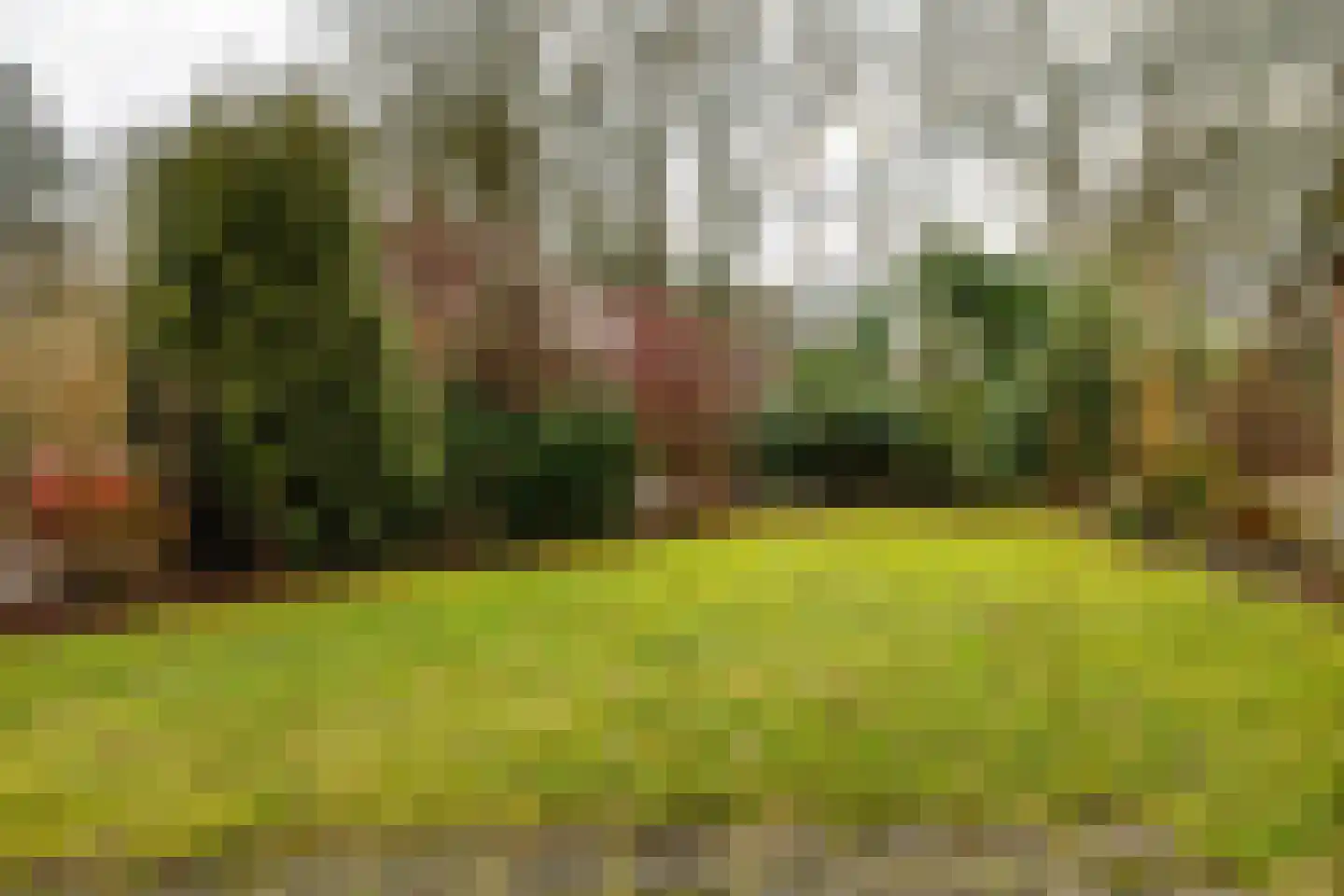Holle Drift 77 Schipborg thumbnail 38
