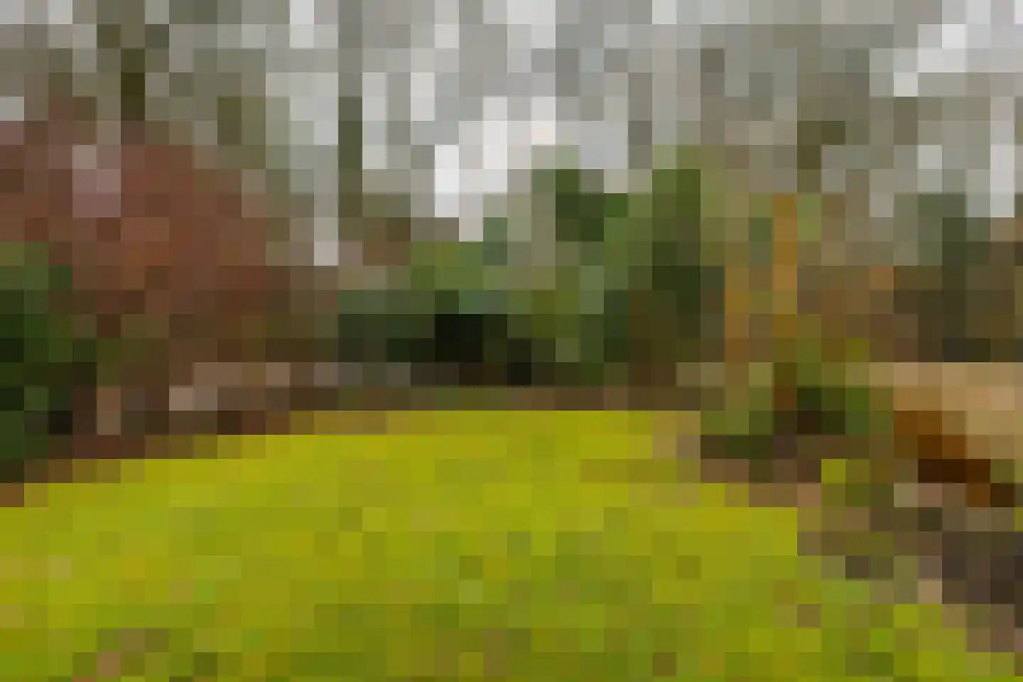 Holle Drift 77 Schipborg thumbnail 39