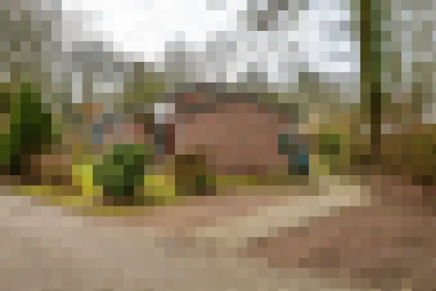 Holle Drift 77 Schipborg thumbnail 41