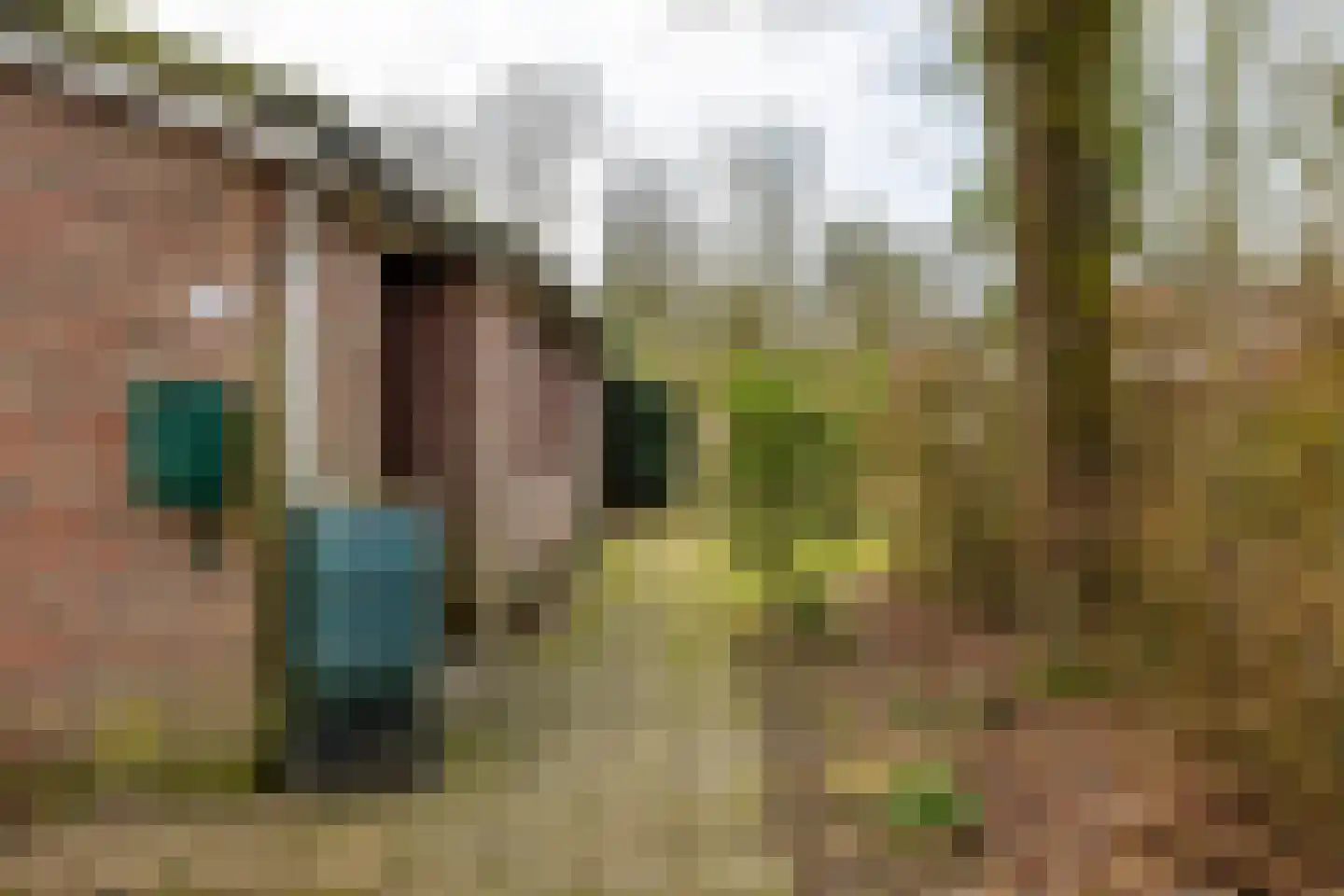 Holle Drift 77 Schipborg thumbnail 42