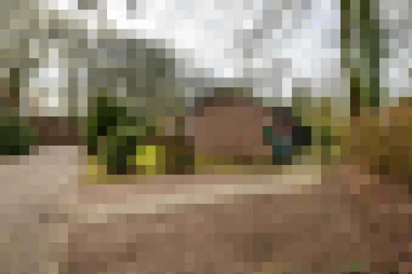Holle Drift 77 Schipborg thumbnail 44