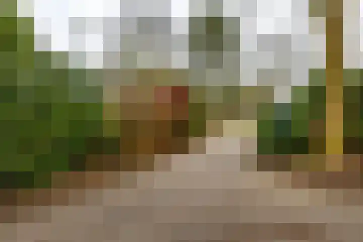 Holle Drift 77 Schipborg thumbnail 45