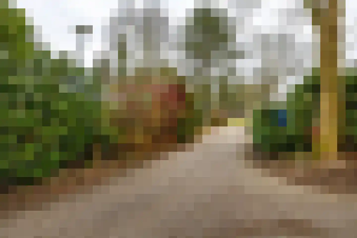 Holle Drift 77 Schipborg thumbnail 45