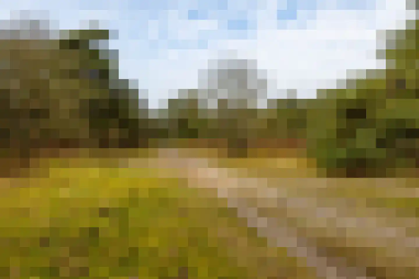 Holle Drift 77 Schipborg thumbnail 46