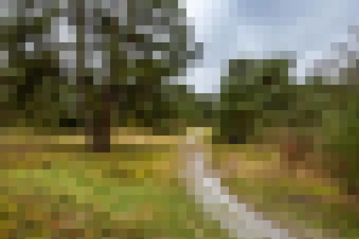 Holle Drift 77 Schipborg thumbnail 47