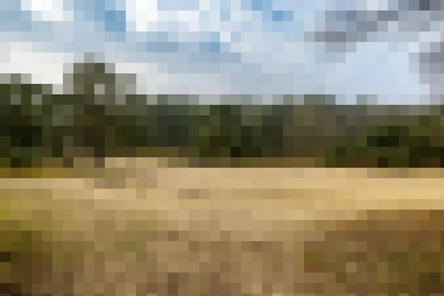 Holle Drift 77 Schipborg thumbnail 48