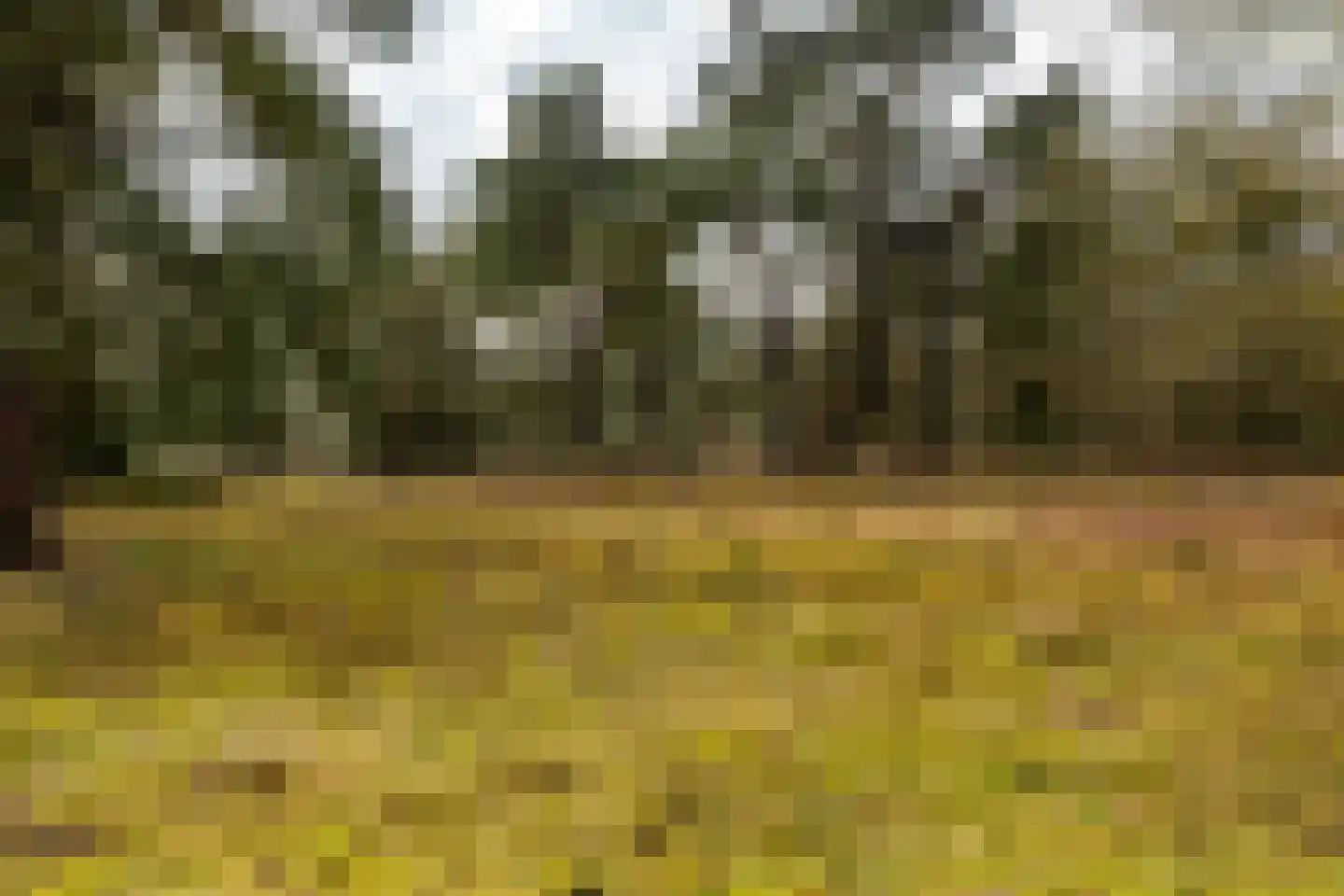 Holle Drift 77 Schipborg thumbnail 49