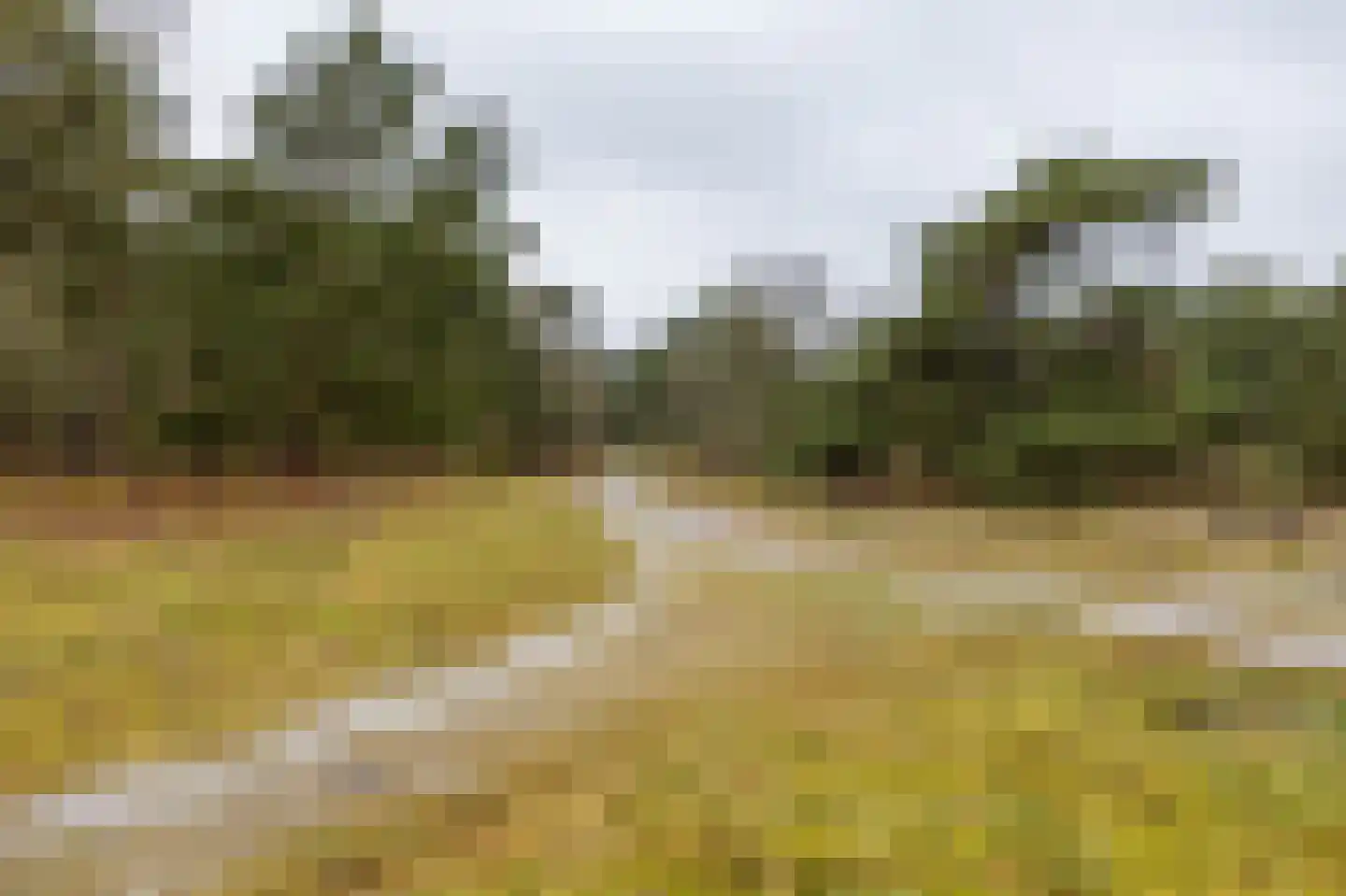 Holle Drift 77 Schipborg thumbnail 50