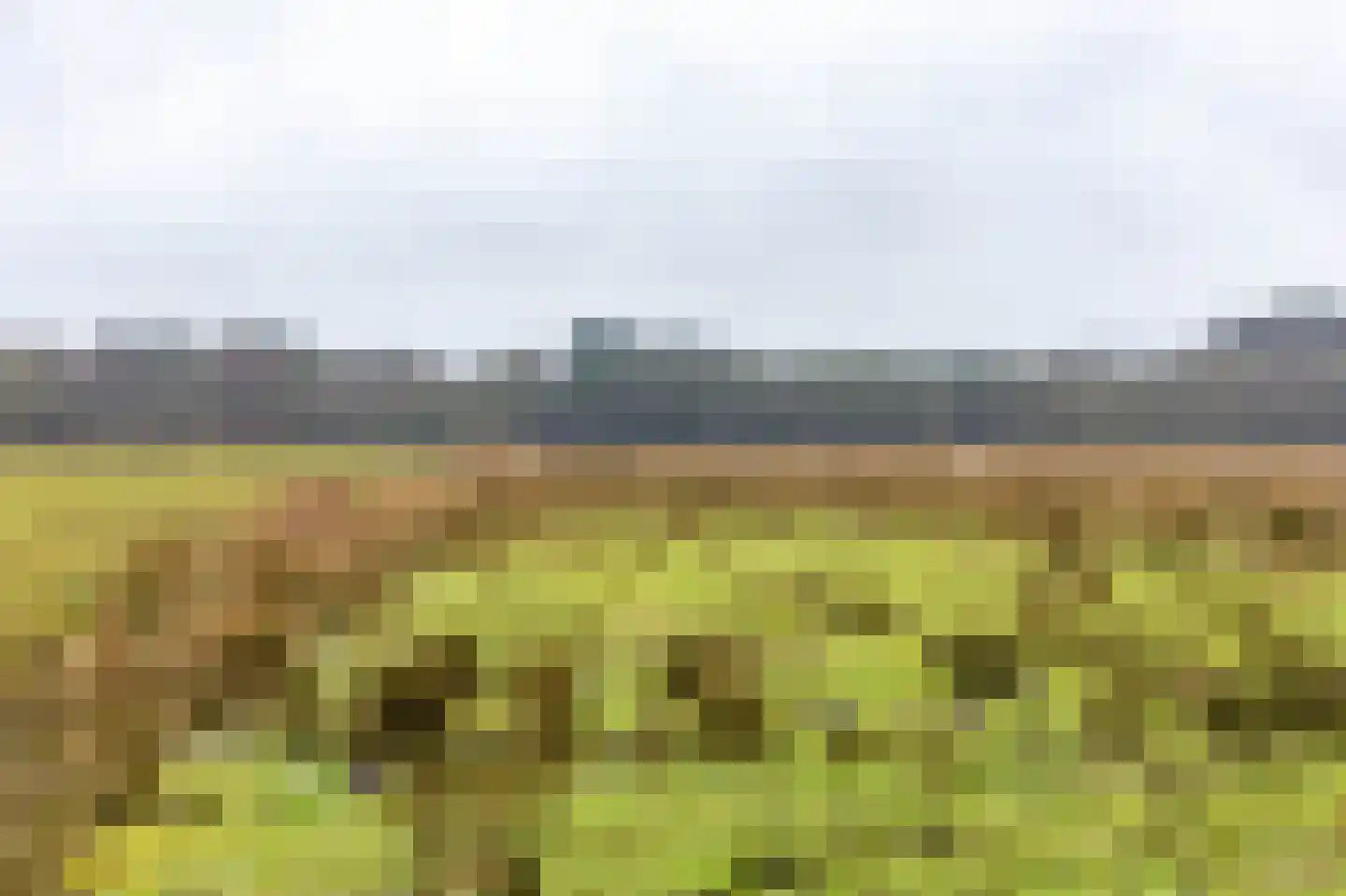 Holle Drift 77 Schipborg thumbnail 51