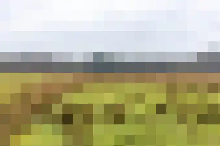 Holle Drift 77 Schipborg thumbnail 51