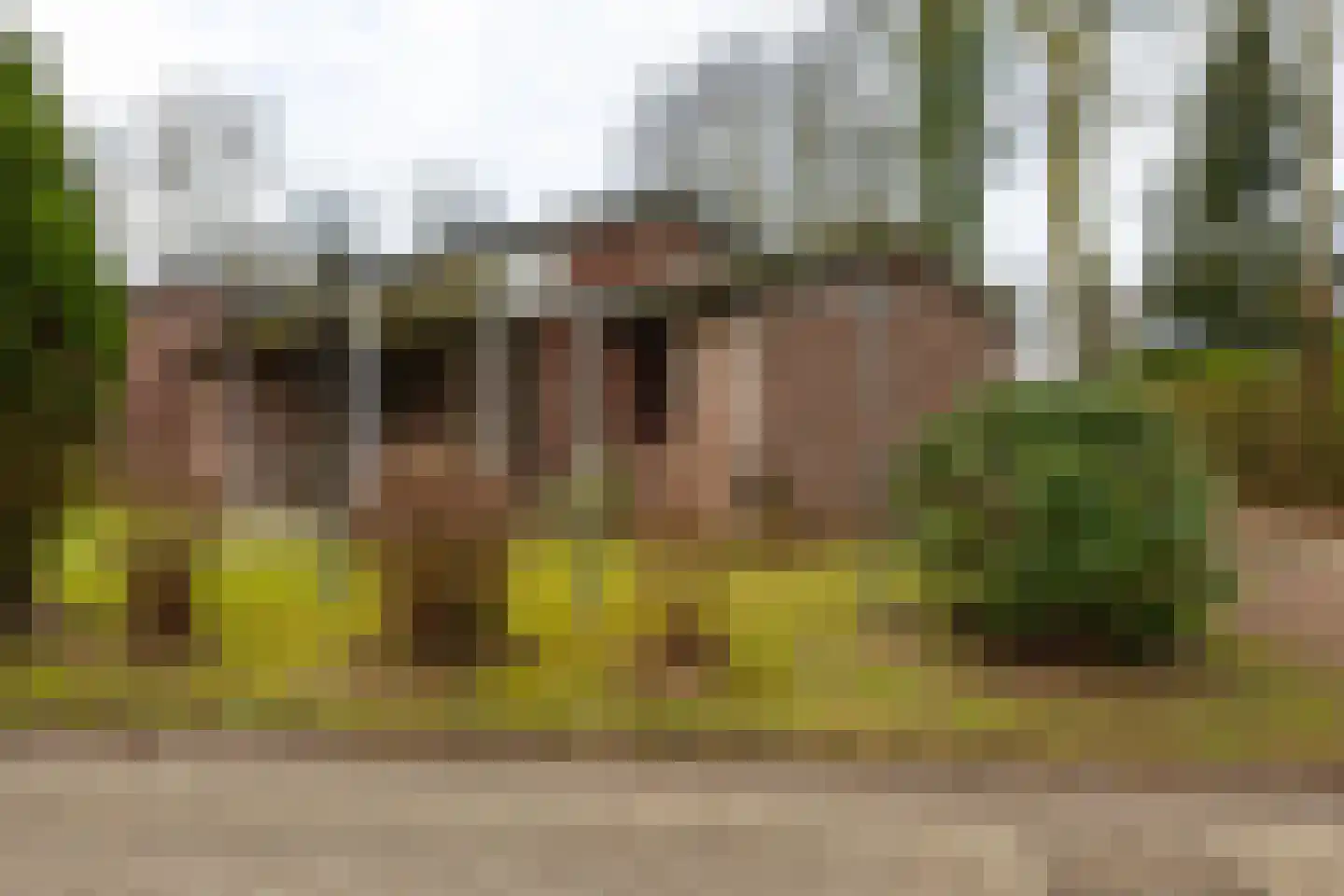 Holle Drift 77 Schipborg thumbnail 7