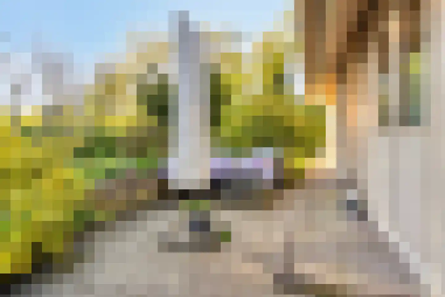 Holle Drift 78 Schipborg thumbnail 35