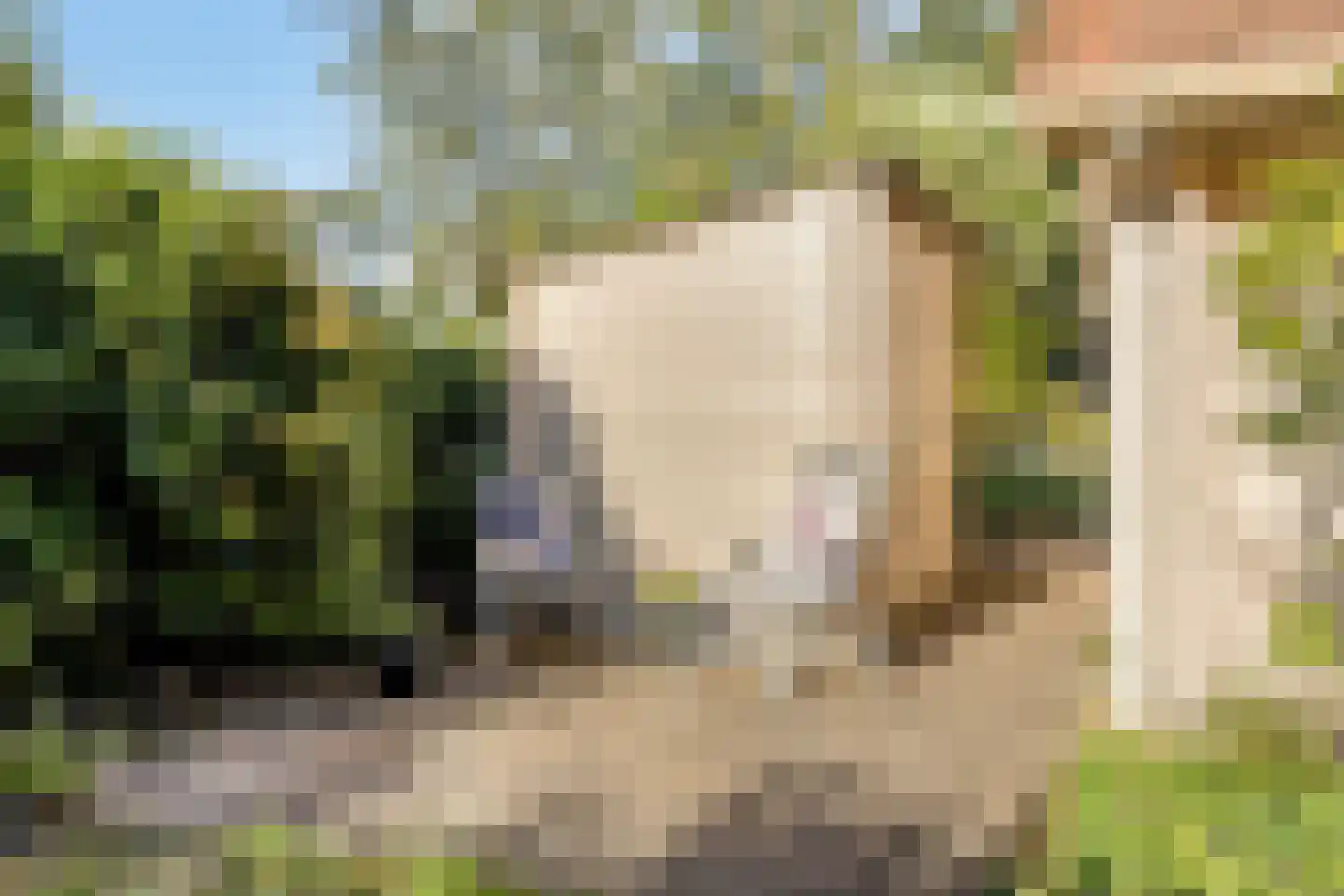 Holle Drift 78 Schipborg thumbnail 36