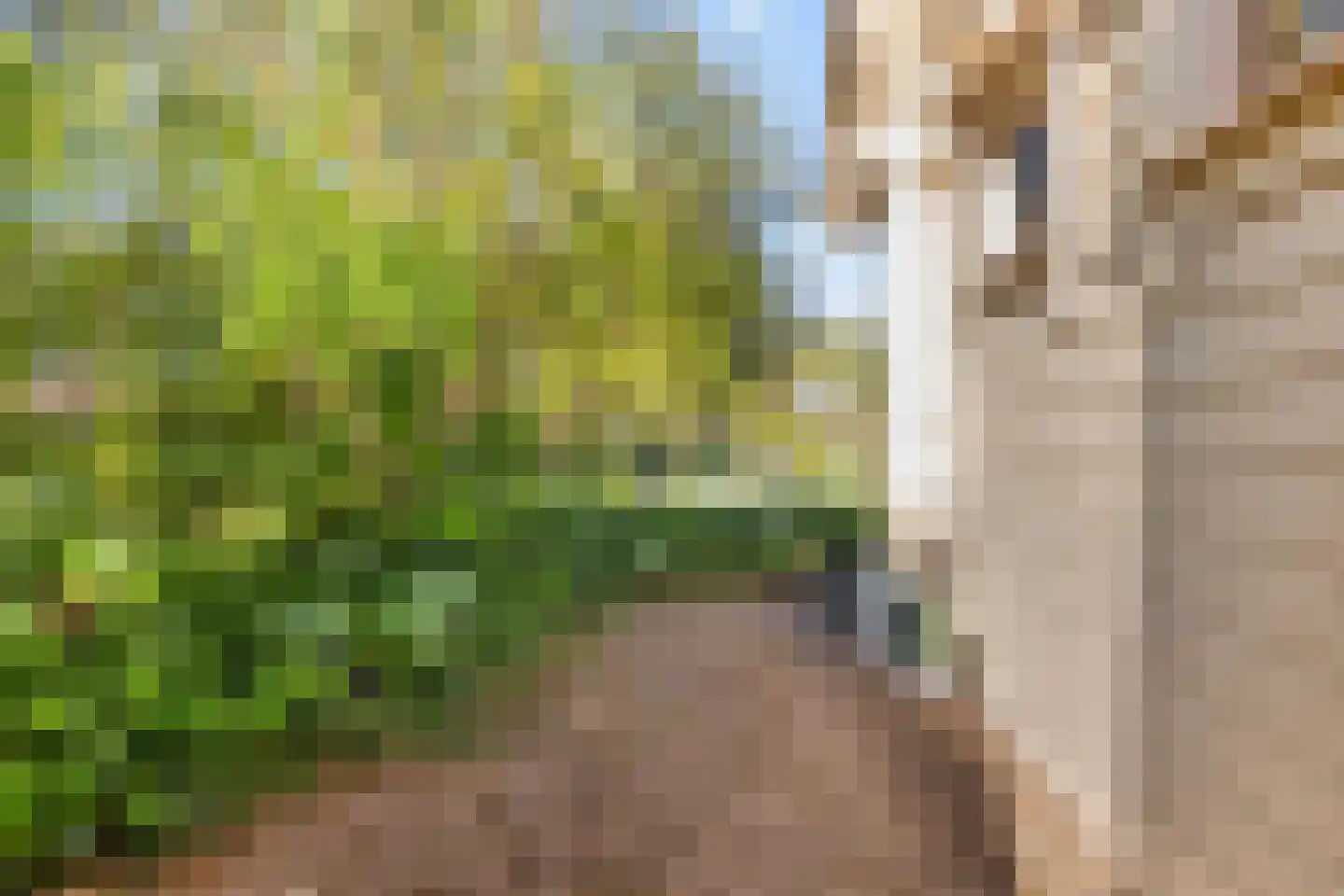 Holle Drift 78 Schipborg thumbnail 38