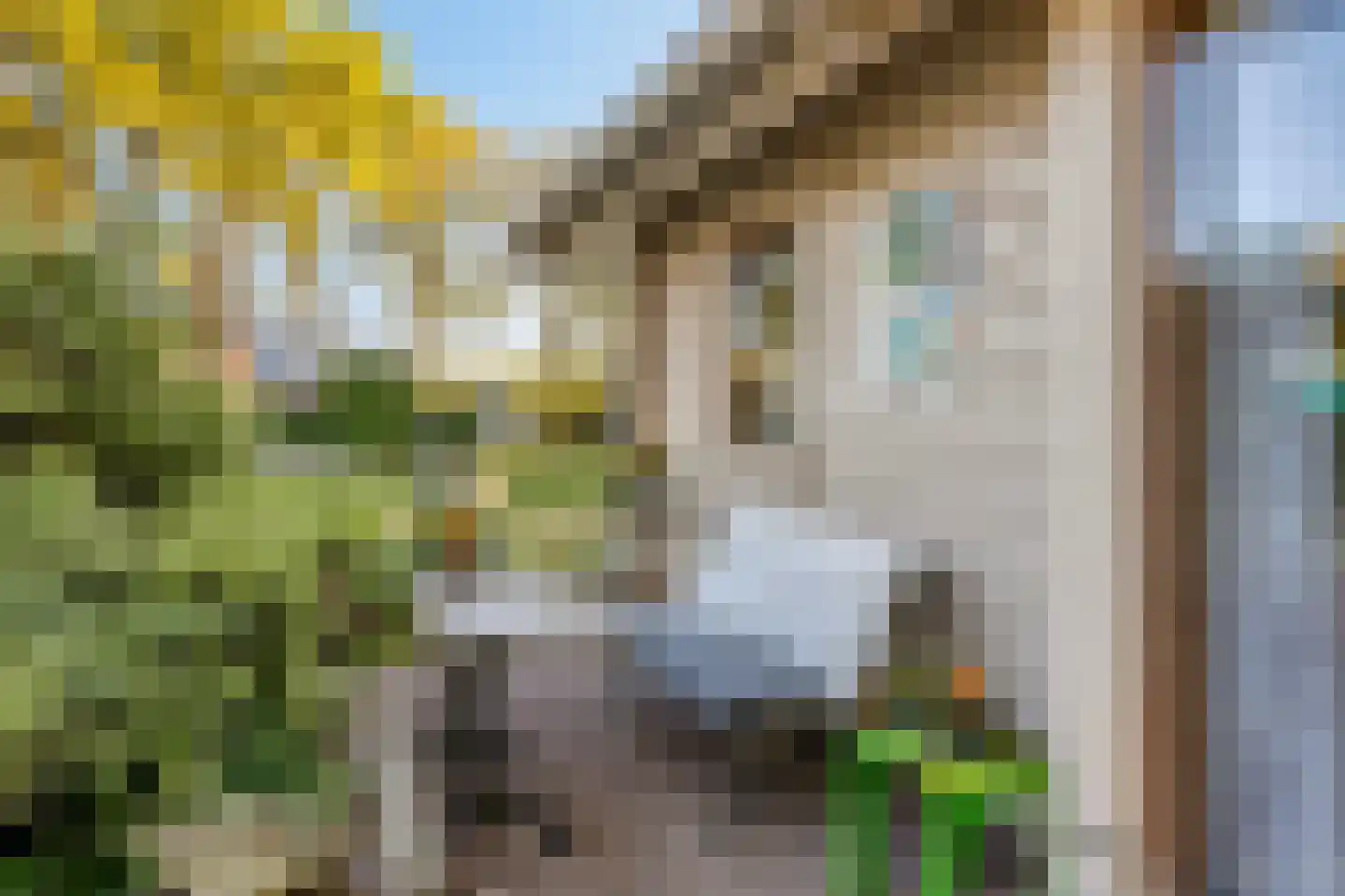 Holle Drift 78 Schipborg thumbnail 39
