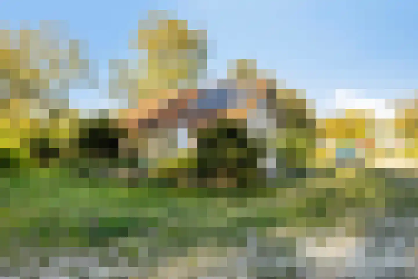 Holle Drift 78 Schipborg thumbnail 40
